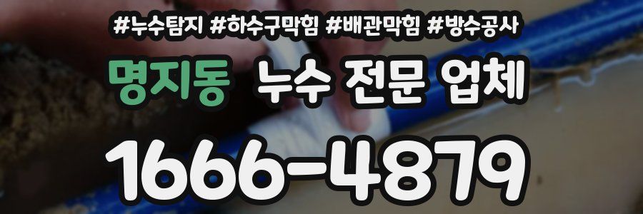 명지동 누수 전문 업체