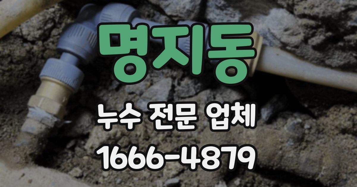 명지동 누수 전문 업체