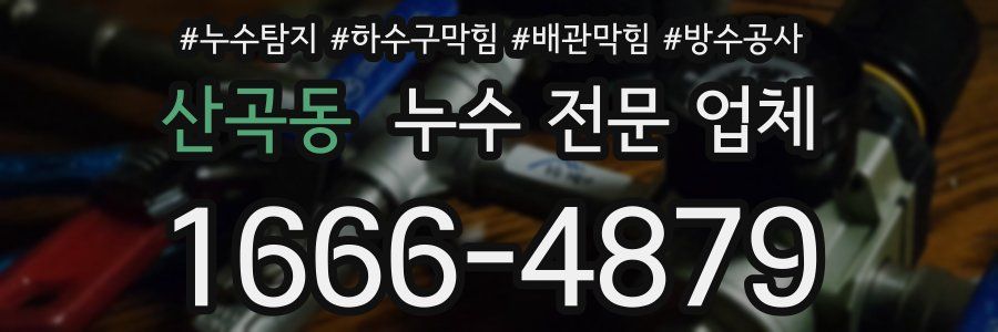 산곡동 누수 전문 업체