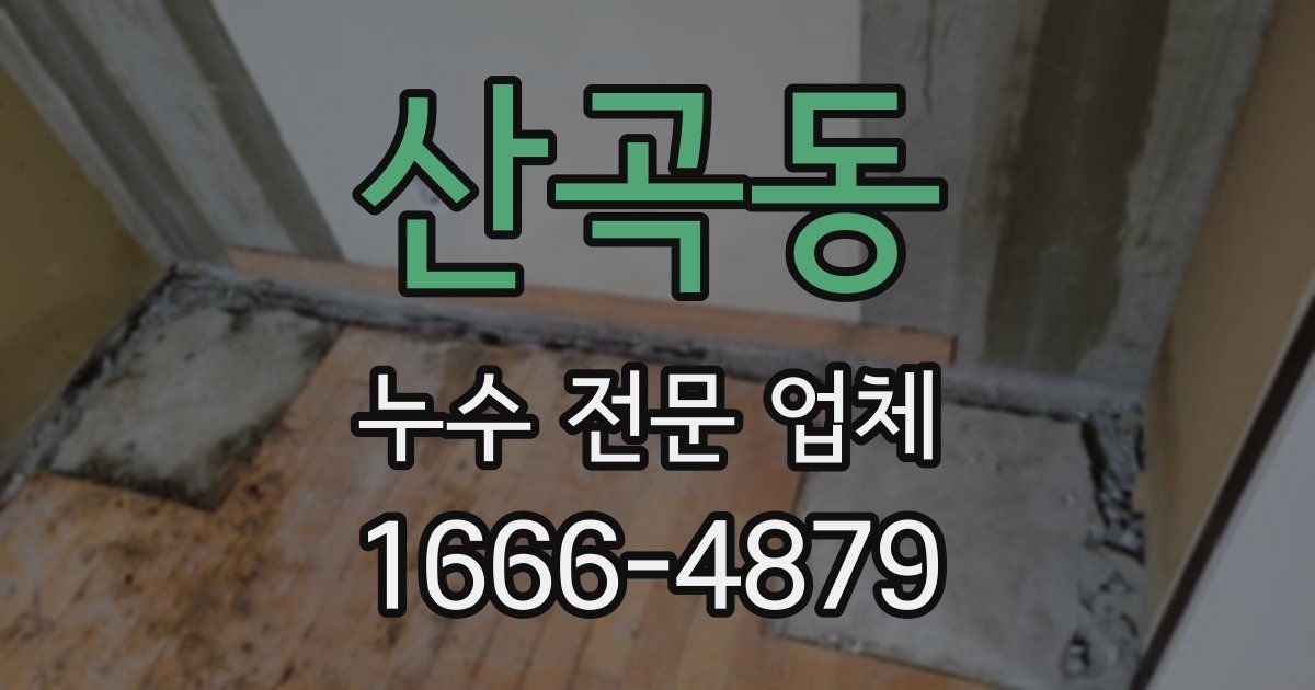 산곡동 누수 전문 업체