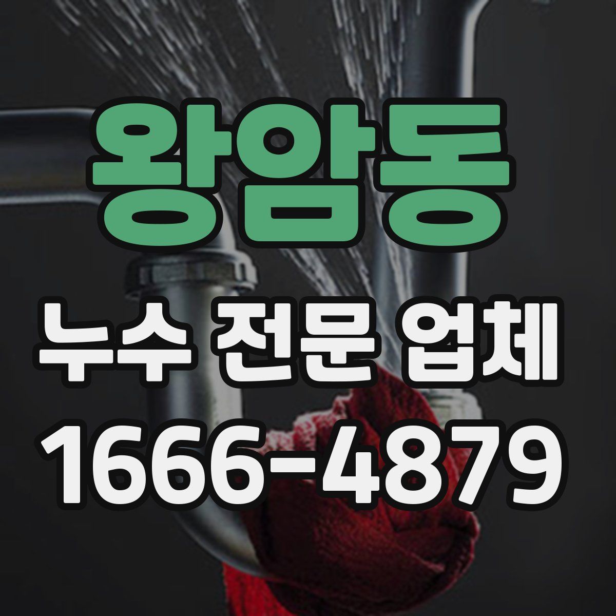 왕암동 누수 전문 업체