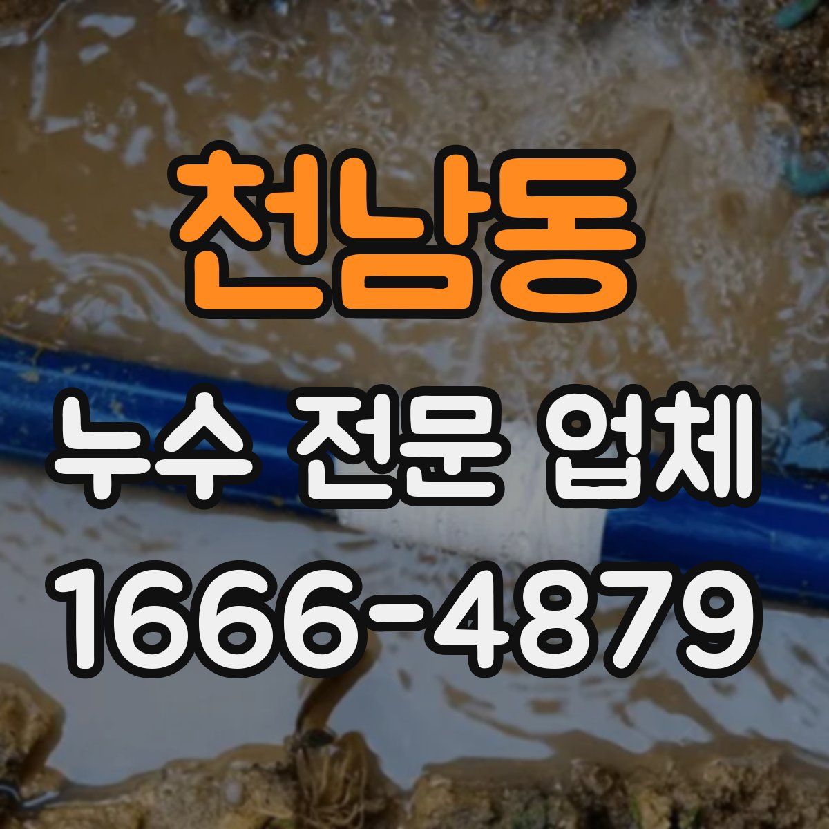 천남동 누수 전문 업체