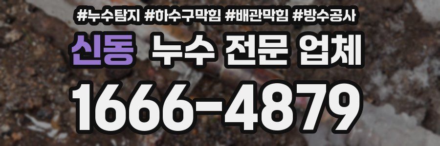 신동 누수 전문 업체