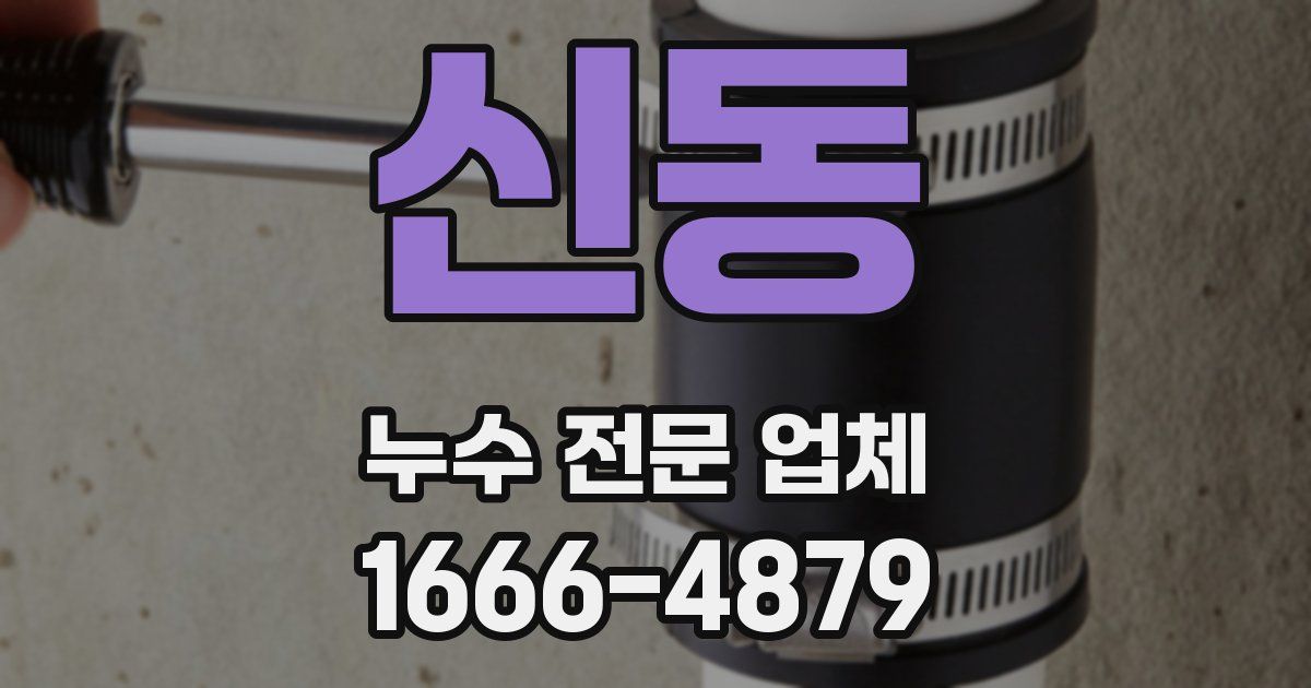 신동 누수 전문 업체