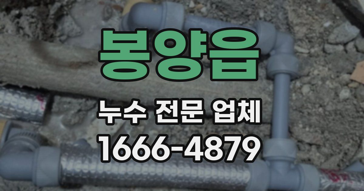 봉양읍 누수 전문 업체
