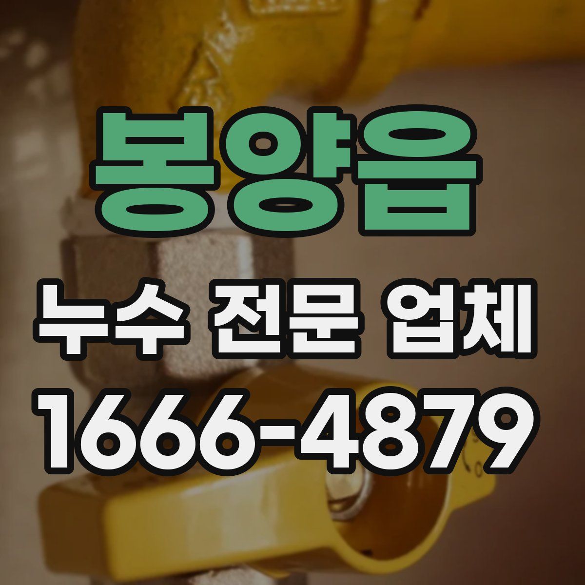 봉양읍 누수 전문 업체