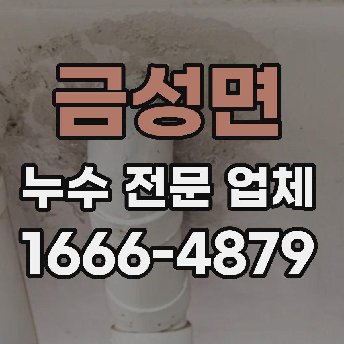 금성면 누수 전문 업체