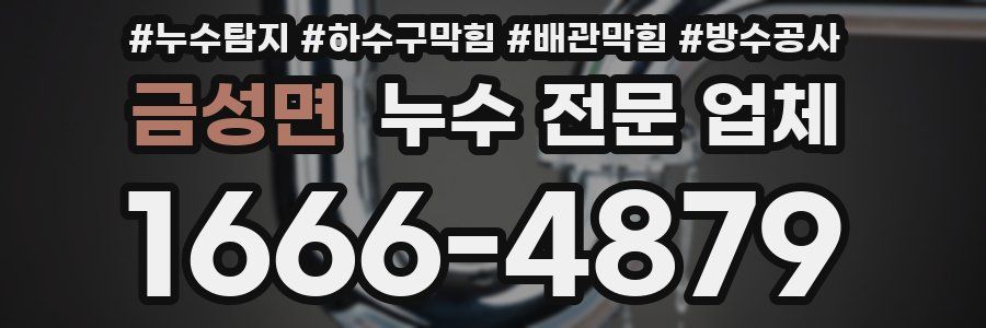 금성면 누수 전문 업체