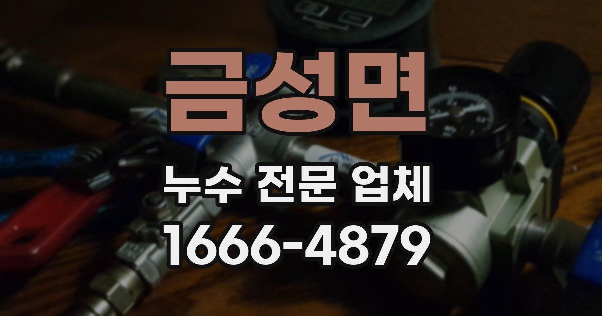 금성면 누수 전문 업체