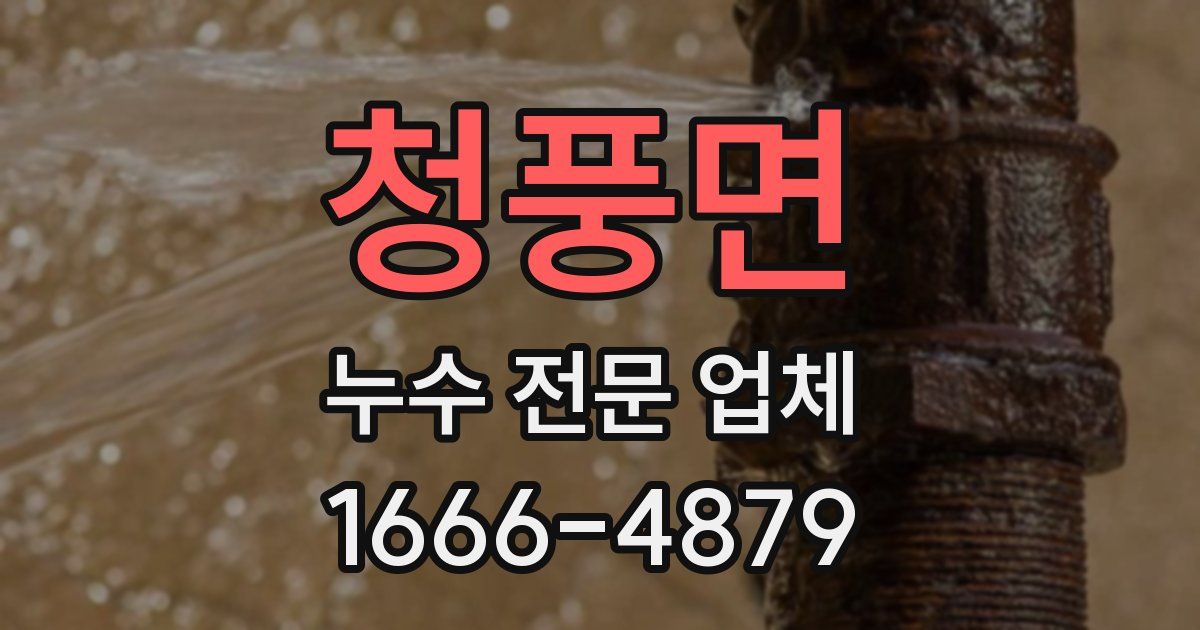 청풍면 누수 전문 업체