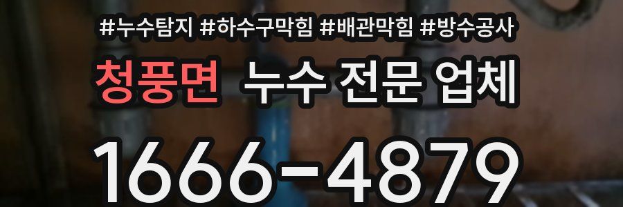 청풍면 누수 전문 업체