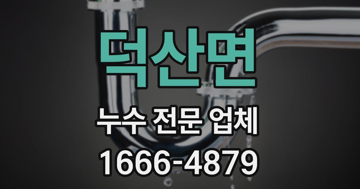 덕산면 누수 전문 업체