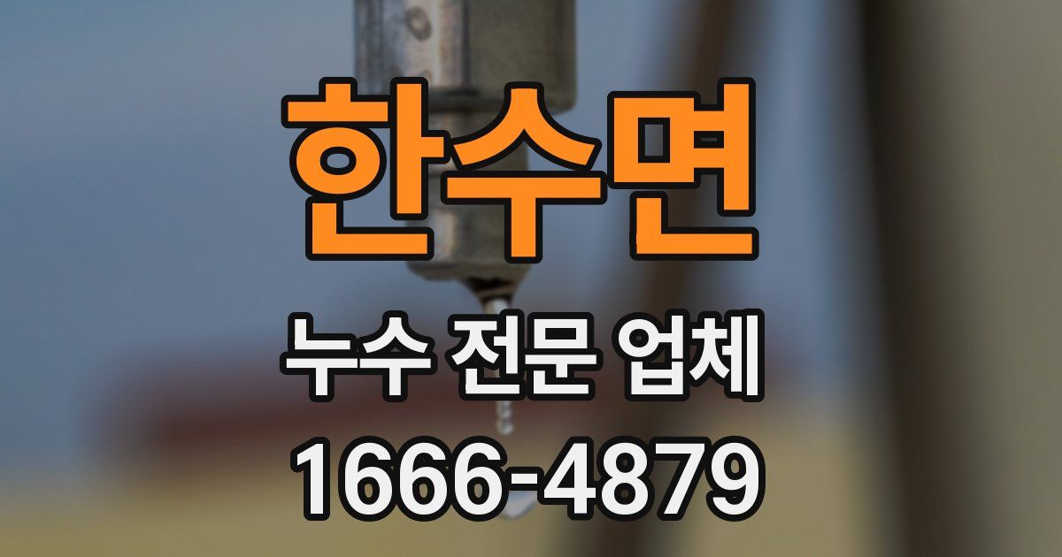 한수면 누수 전문 업체