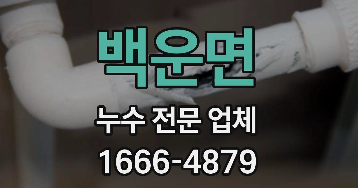백운면 누수 전문 업체