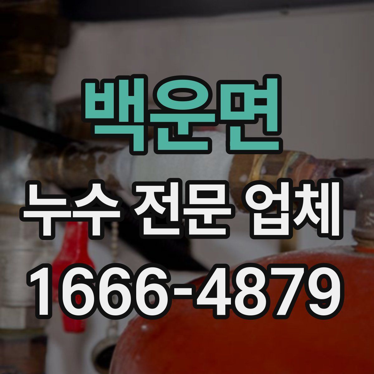 백운면 누수 전문 업체
