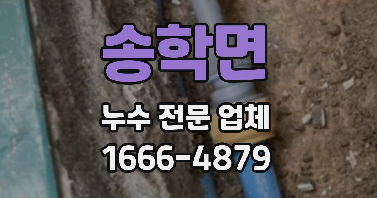 송학면 누수 전문 업체