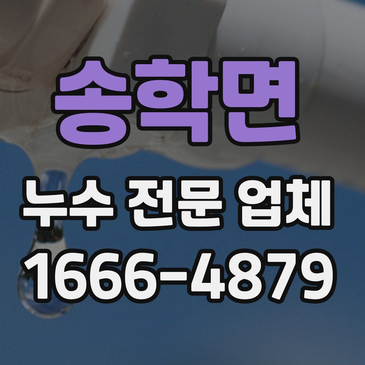 송학면 누수 전문 업체
