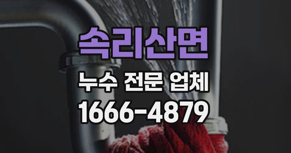 속리산면 누수 전문 업체