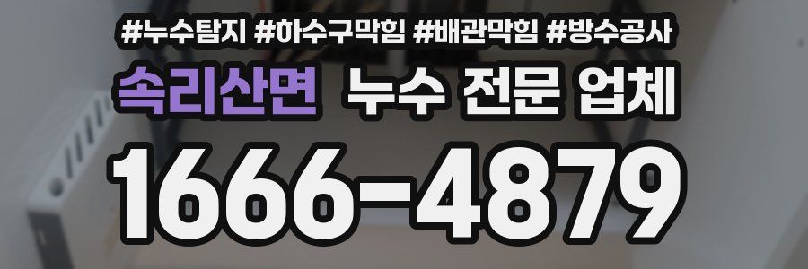 속리산면 누수 전문 업체