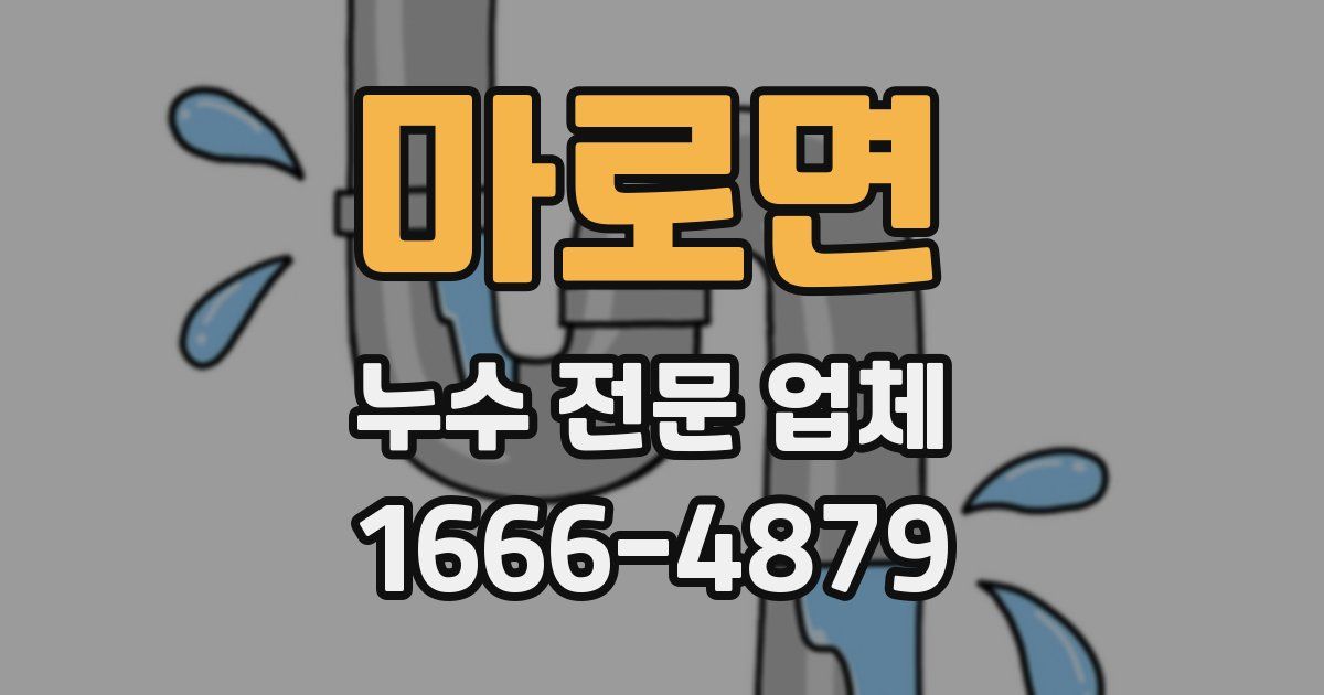 마로면 누수 전문 업체