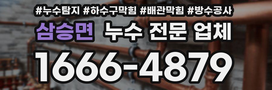 삼승면 누수 전문 업체