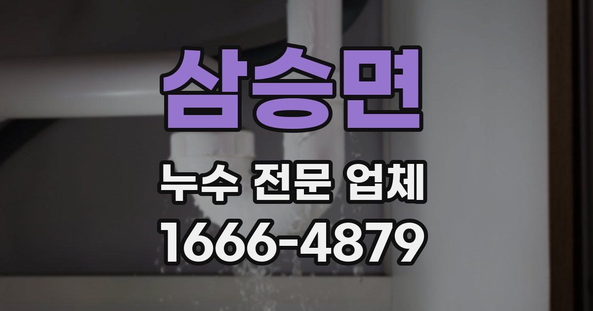 삼승면 누수 전문 업체