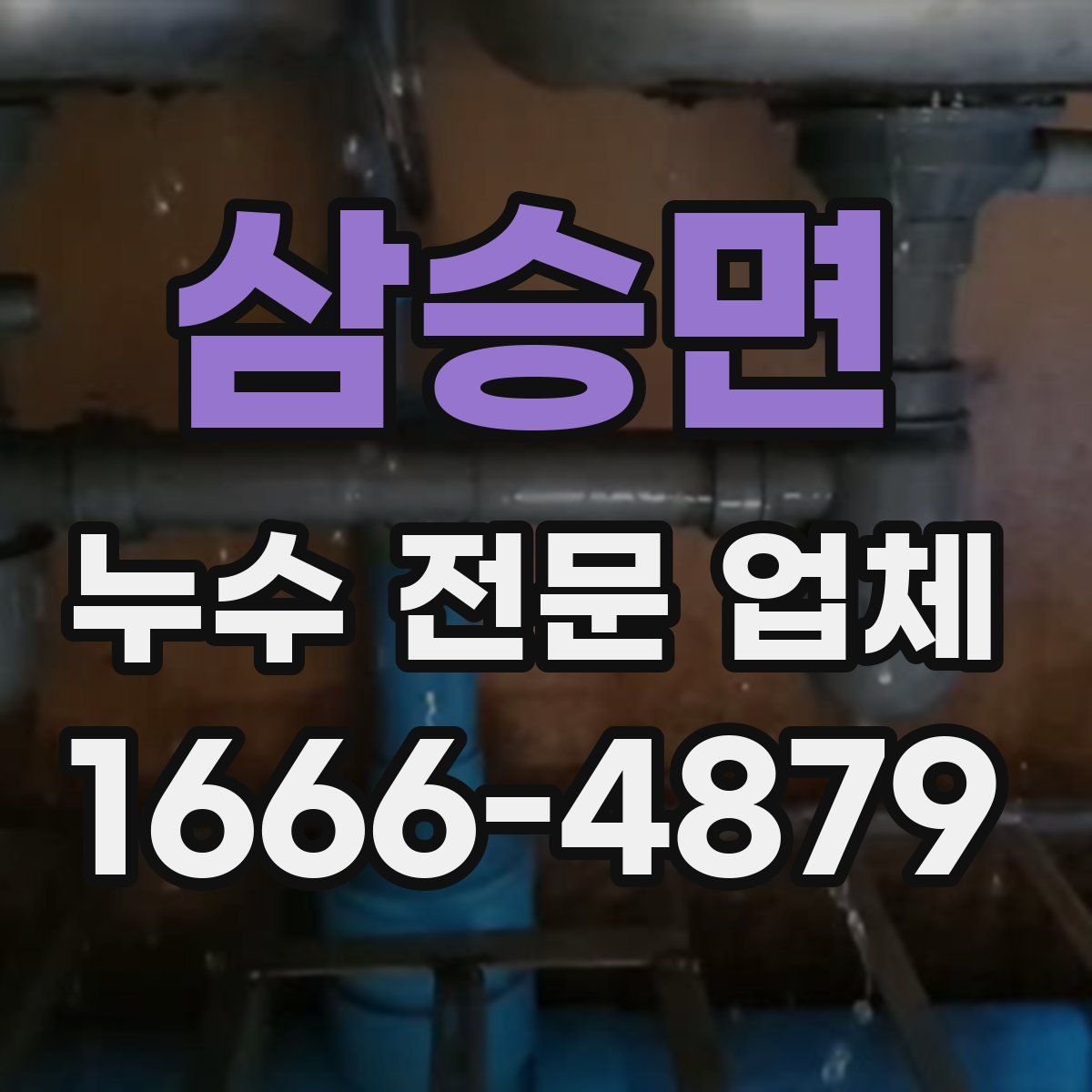 삼승면 누수 전문 업체