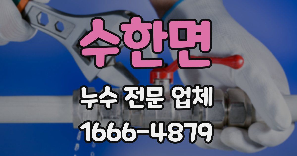 수한면 누수 전문 업체