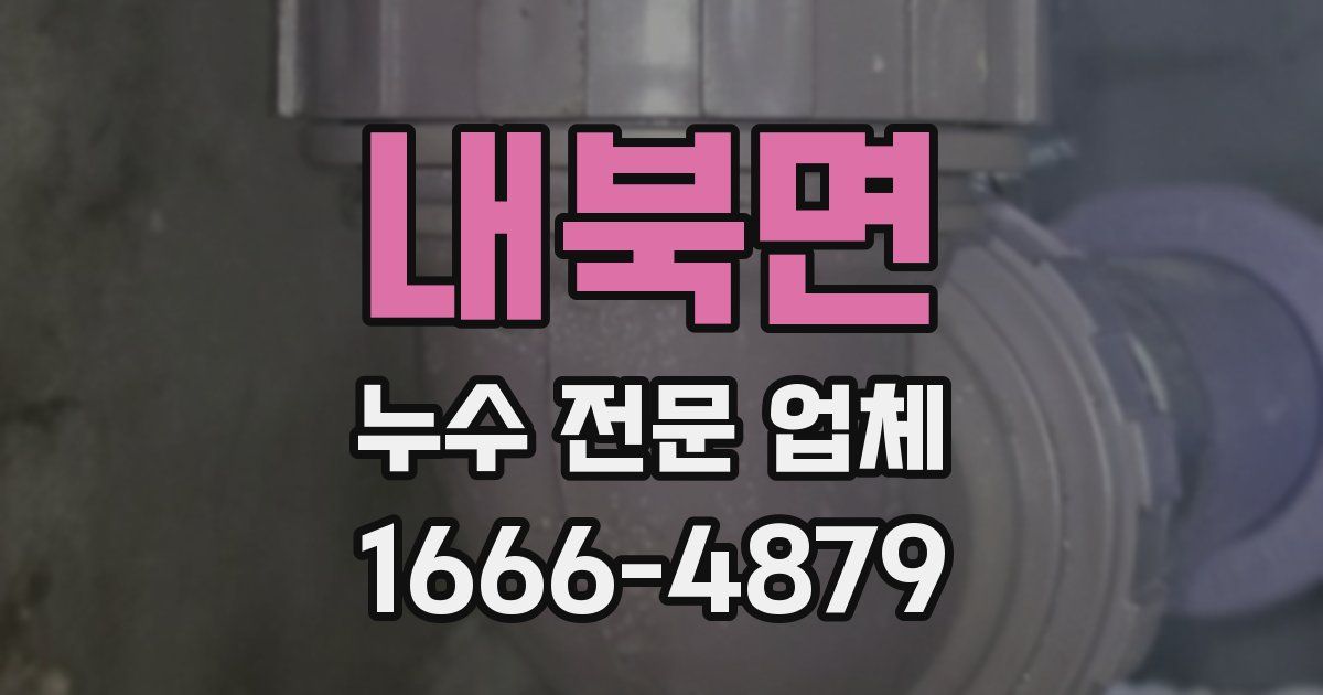 내북면 누수 전문 업체