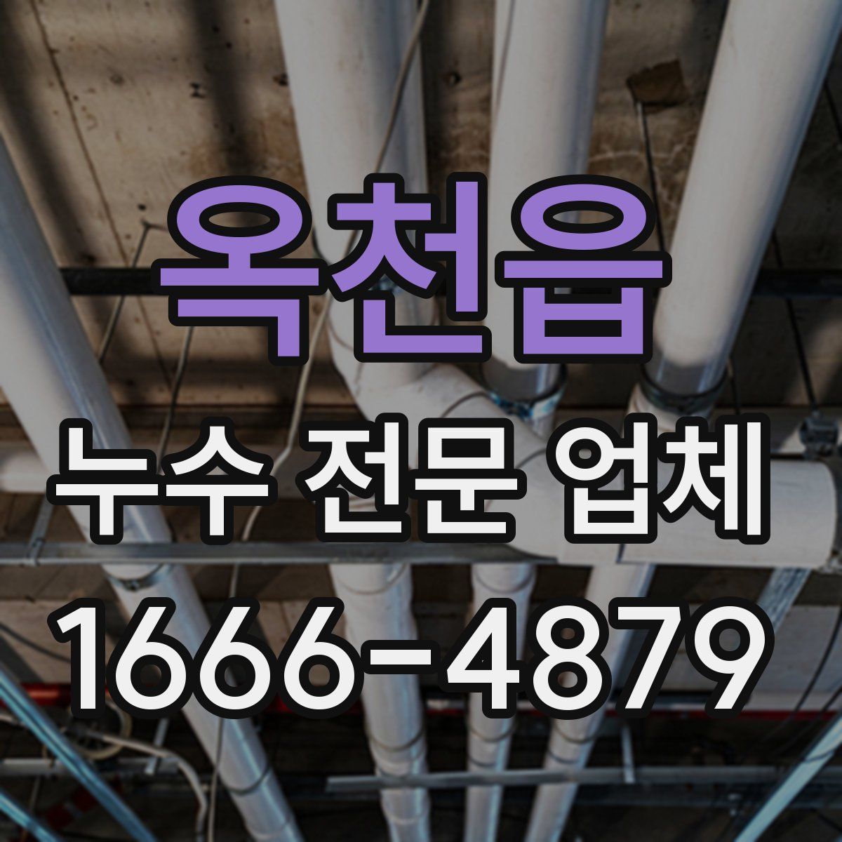옥천읍 누수 전문 업체