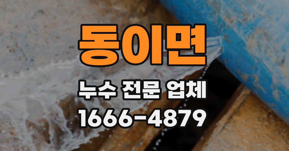 동이면 누수 전문 업체