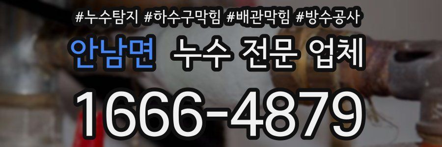 안남면 누수 전문 업체