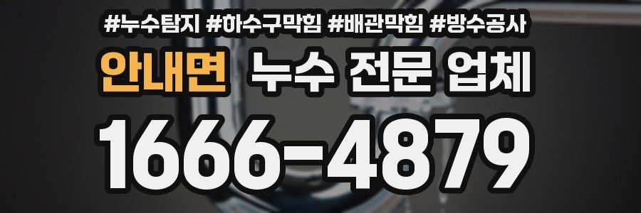 안내면 누수 전문 업체