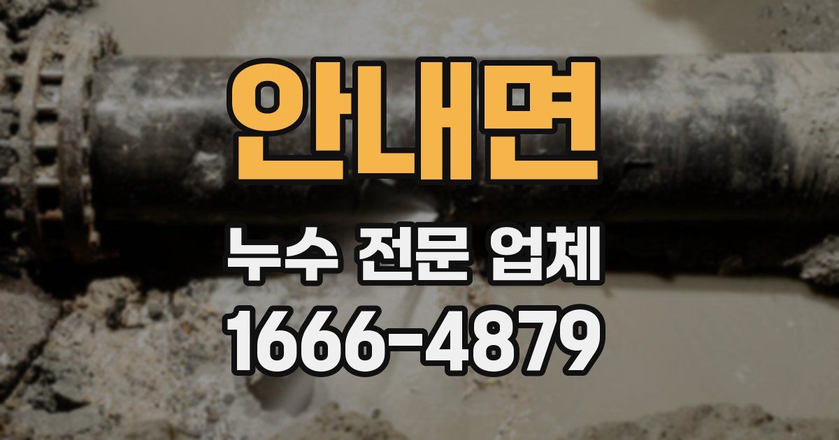 안내면 누수 전문 업체