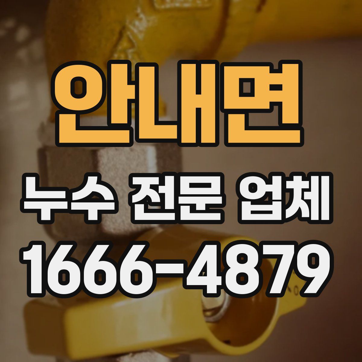 안내면 누수 전문 업체