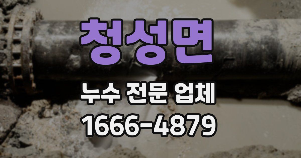 청성면 누수 전문 업체
