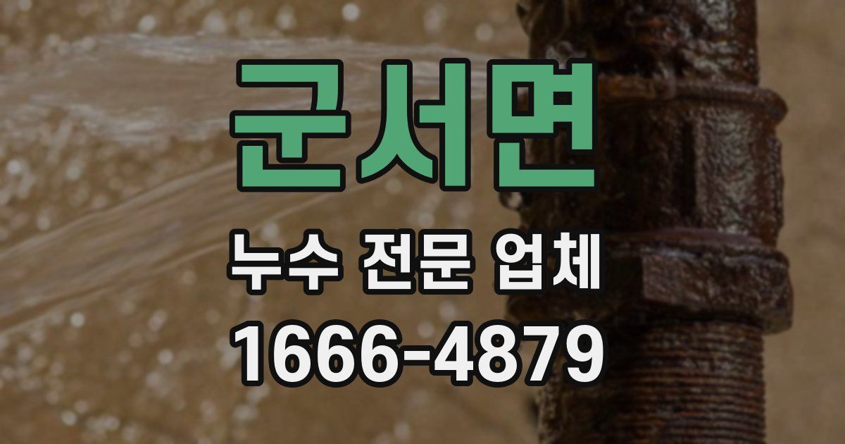 군서면 누수 전문 업체