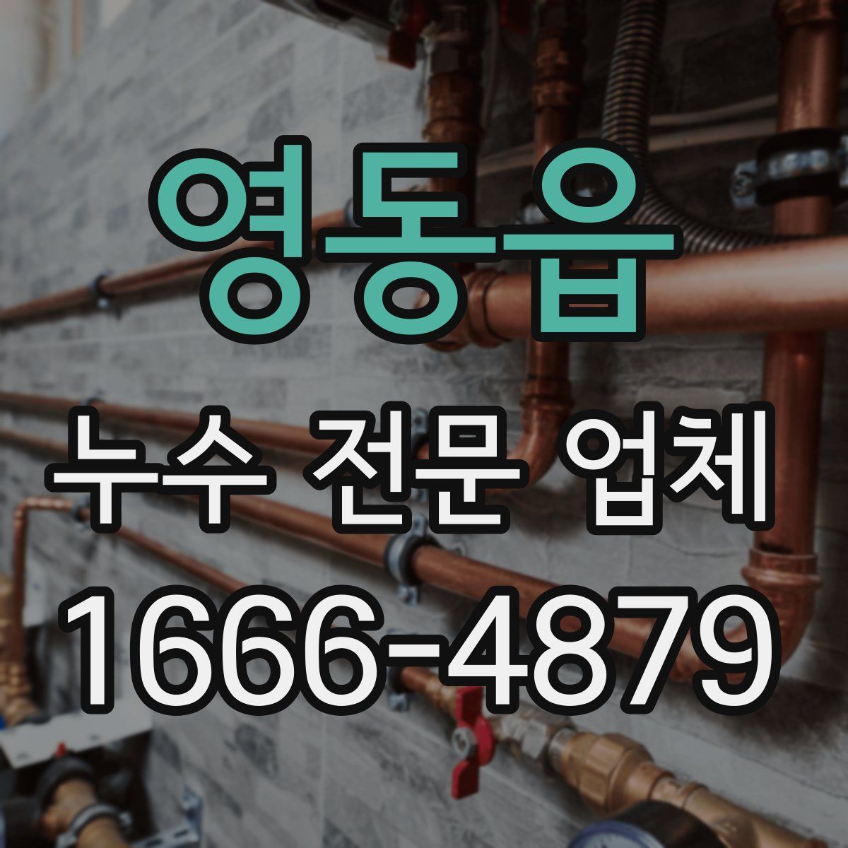 영동읍 누수 전문 업체