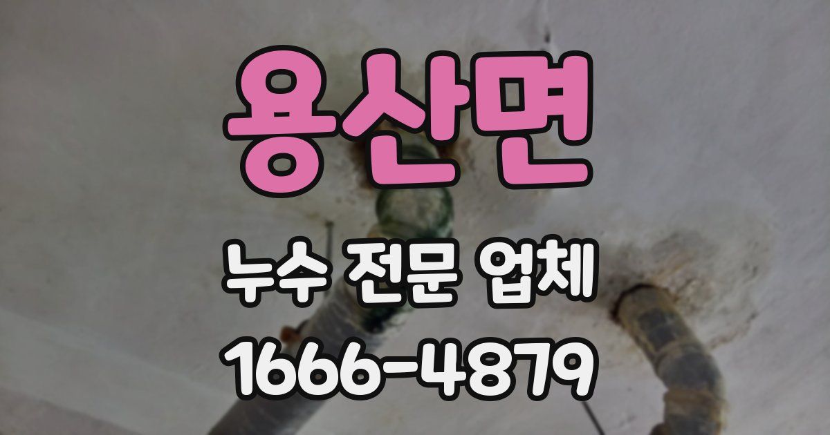 용산면 누수 전문 업체