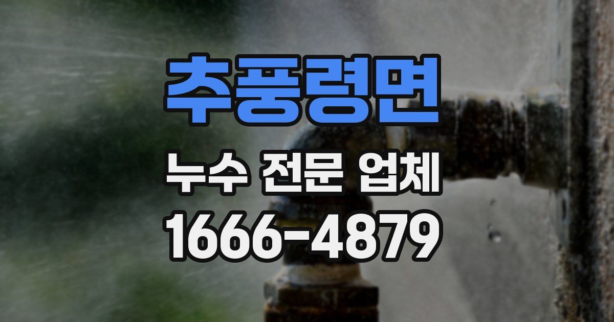 추풍령면 누수 전문 업체