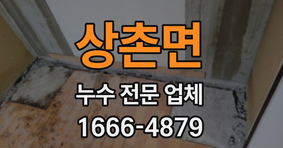 상촌면 누수 전문 업체