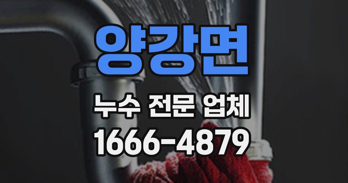 양강면 누수 전문 업체