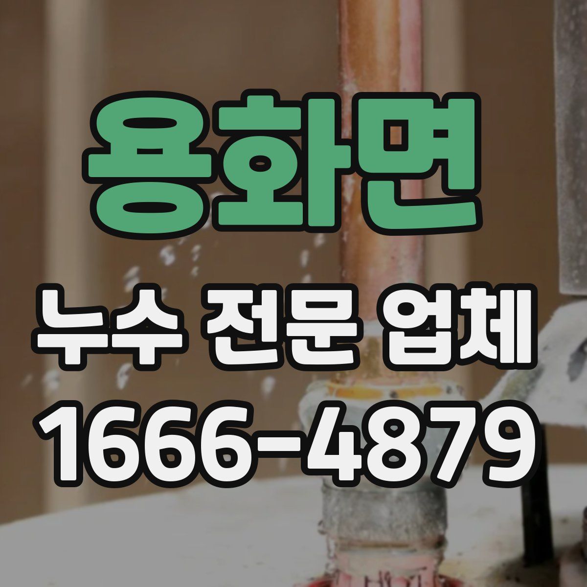 용화면 누수 전문 업체