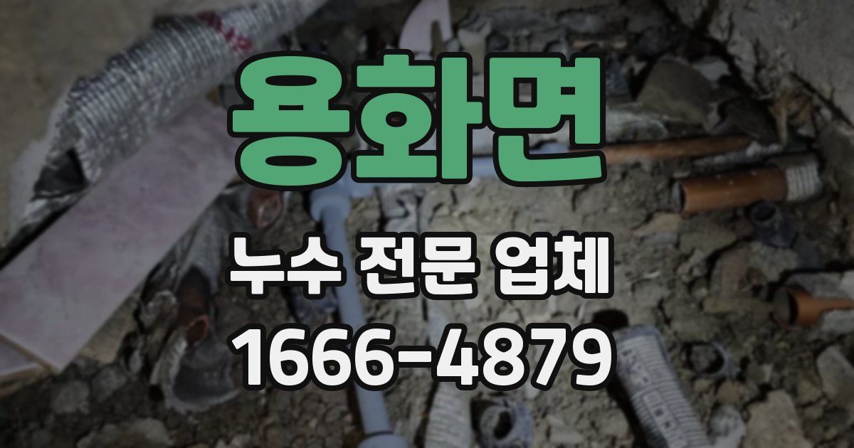 용화면 누수 전문 업체