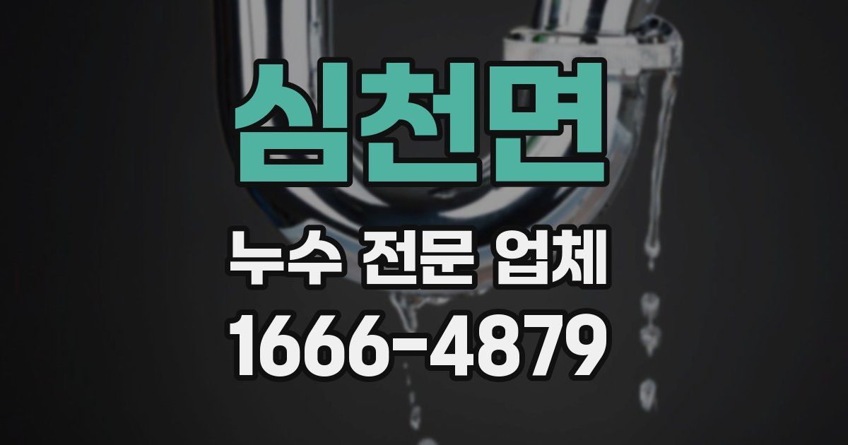 심천면 누수 전문 업체