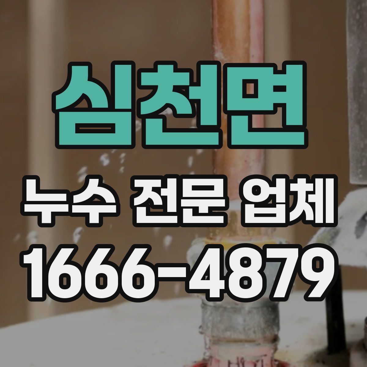 심천면 누수 전문 업체