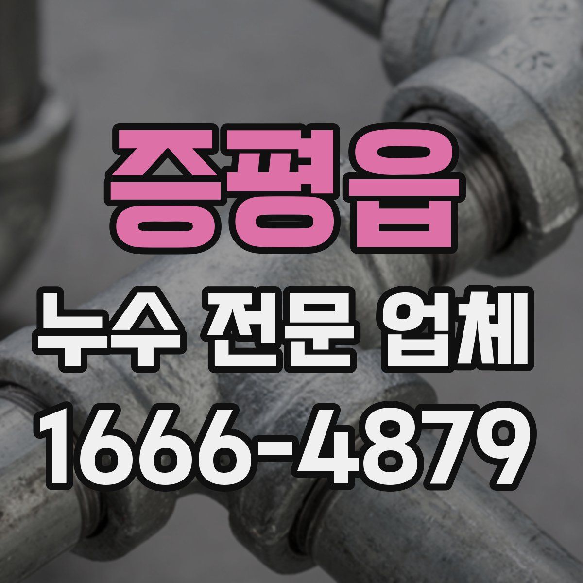 증평읍 누수 전문 업체