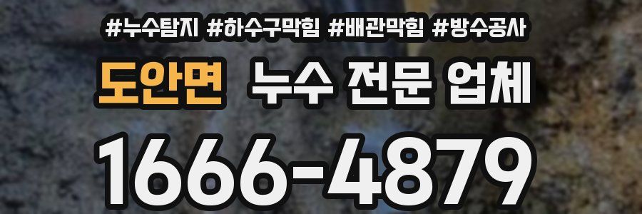 도안면 누수 전문 업체