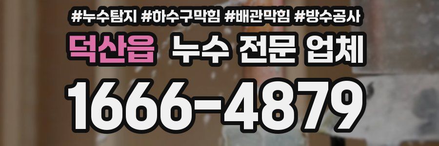 덕산읍 누수 전문 업체