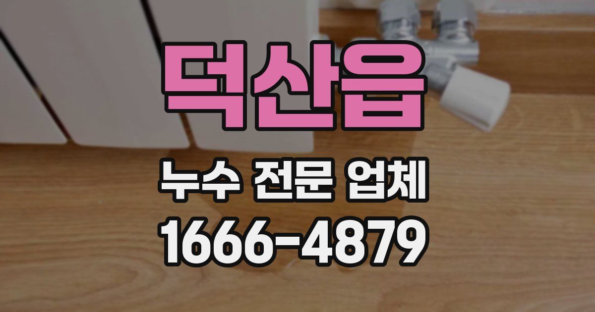 덕산읍 누수 전문 업체